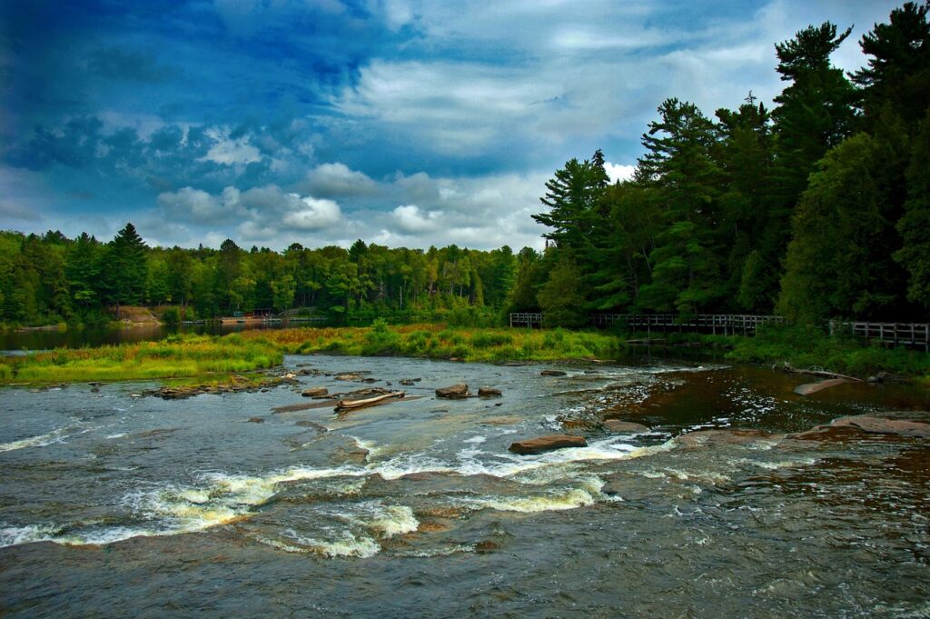 michigan, water, forest-4753149.jpg